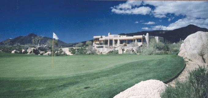 Desert courtyard with sculptural cactus